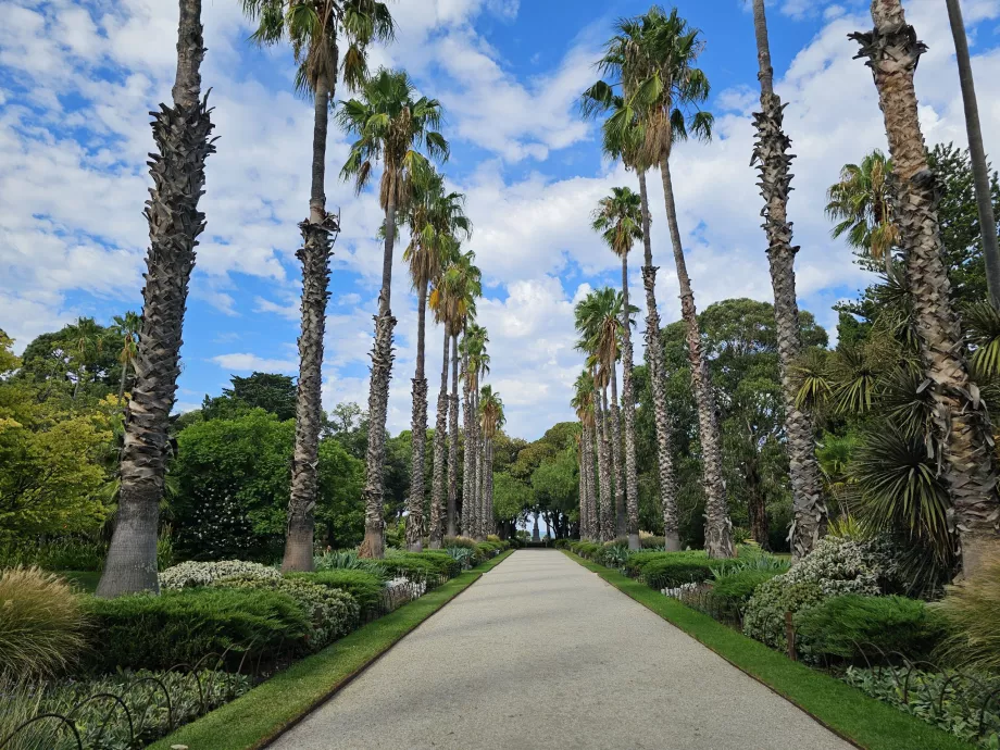 Williamstown Botaniska trädgård